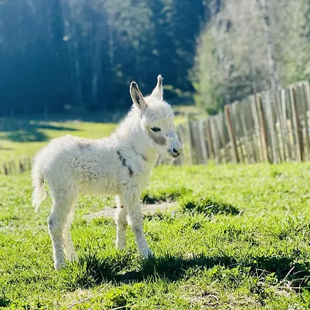 Glamping Pa Idyllisk Smabruk Med Miniatyr Hest, Esel Og Geit Dom wakacyjny Hobol