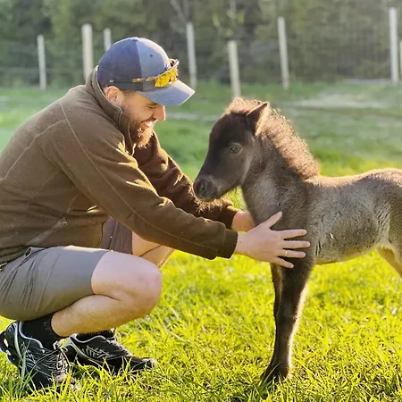 Glamping Pa Idyllisk Smabruk Med Miniatyr Hest, Esel Og Geit Dom wakacyjny