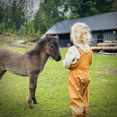 Glamping Pa Idyllisk Smabruk Med Miniatyr Hest, Esel Og Geit Dom wakacyjny